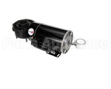 116819 Duke Asy,Right Pump