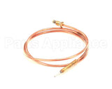 1170039 Axis Safety Thermocouple