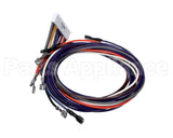 1171523 International Comfort Products Wiring Harness