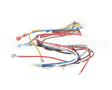 1171698 International Comfort Products Harness-Control Board