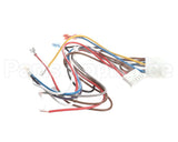 1171698 International Comfort Products Harness-Control Board