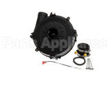 1172823 International Comfort Pro Inducer Assembly