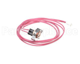 1173637 International Comfort Pro Switch, Temperature