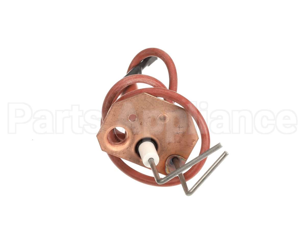 1173828 International Comfort Pro Ignitor Assembly
