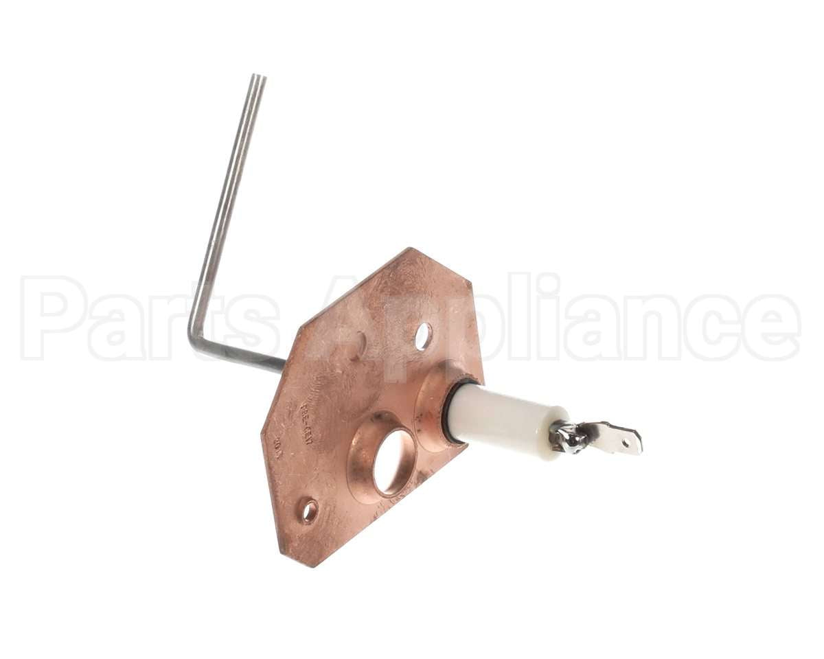 1173830 International Comfort Pro Sensor Flame