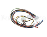 1174913 International Comfort Products Wiring Harness