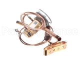 1176871 International Comfort Pro Valve Txv 6.0 Ton R410A