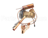 1176878 International Comfort Products Txv