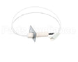 1176919 International Comfort Pro Igniter