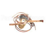 1177317 International Comfort Products 2Ton Txv