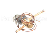 1177317 International Comfort Pro Txv Valve 2 Ton