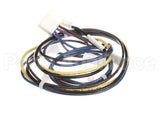1178160 International Comfort Products Compressor Harness Cl01/Comp1