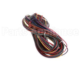 1178162 International Comfort Products Harness Asy (Pl6) (Economizer)