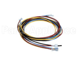 1178229 International Comfort Products Harness Asy Ifm