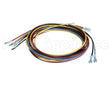 1178229 International Comfort Pro Harness Assembly Ifm