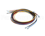 1178229 International Comfort Pro Harness Assembly Ifm
