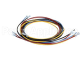 1178229 International Comfort Pro Harness Assembly Ifm