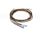 1178229 International Comfort Pro Harness Assembly Ifm