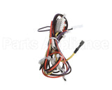 1178944 International Comfort Products Compressor Harness Cl01/Comp2