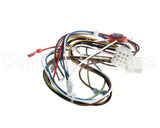 1178976 International Comfort Pro Harness Assembly Ecmx