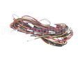 1179252 International Comfort Products Harness Asy Hp Control