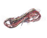 1179252 International Comfort Pro Harness Assembly Hp Control