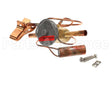 1185215 International Comfort Pro Kit Replacement Tx Valve