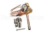 1186999 International Comfort Pro Kit Txv