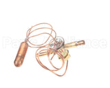 1187926 International Comfort Pro Valve Txv