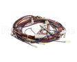 1188380 International Comfort Pro Harness Assembly (Yac Ctrl)