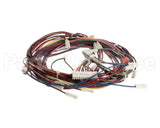 1188380 International Comfort Pro Harness Assembly (Yac Ctrl)