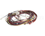 1188380 International Comfort Pro Harness Assembly (Yac Ctrl)