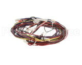 1188380 International Comfort Pro Harness Assembly (Yac Ctrl)