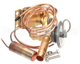 1190675 International Comfort Pro Valve,Expansion (Txv)