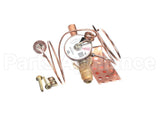 1192288 International Comfort Products R410A Txv Valve