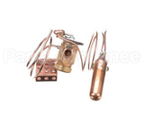 1192288 International Comfort Pro Valve Txv
