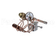 1192977 International Comfort Pro Txv Kit