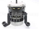 1193024 Heil Quaker Blower Motor