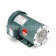 119418 Leeson Motor
