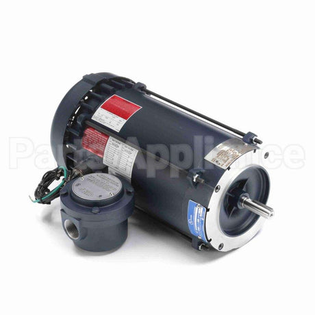 119423 Leeson Motor