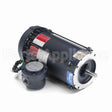 119423 Leeson Motor