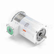 119471 Leeson Motor