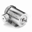 119491 Leeson Motor