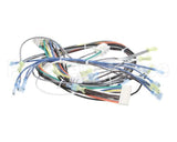 1195321 Southbend Range Control Harness, Wendys Gas