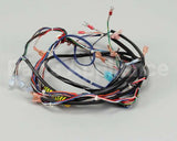 119857 Groen Harness, Control