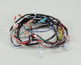 119857 Groen Harness, Control