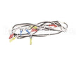 119877 Groen Harness, 120Vac