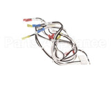 119877 Groen Harness, 120Vac