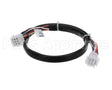 11B0100N17 Climatemaster Harness,Tstat Ada D