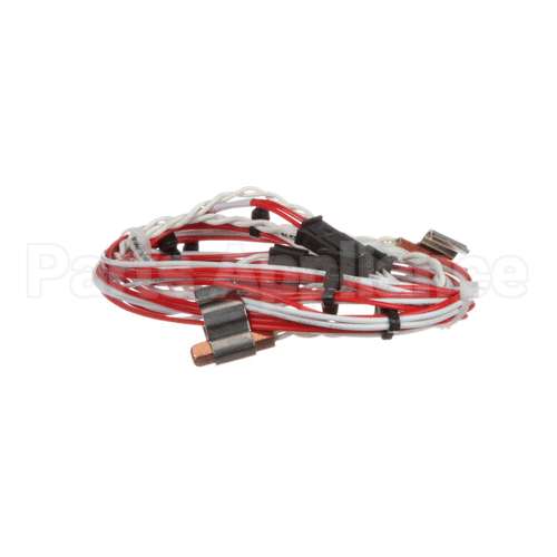 12-2059-0001 Fbd Wire Harness,Temp Sensor,Rtd